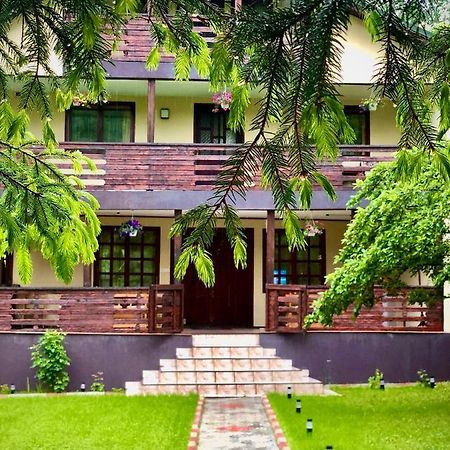 Vila Pelin Hotel Lepşa Esterno foto